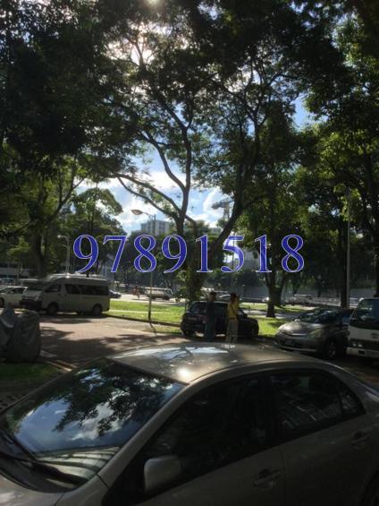 Blk 34 Whampoa West (Kallang/Whampoa), HDB 3 Rooms #129662822